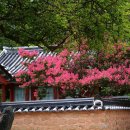 장수황씨종택 이미지