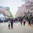 오섬권역 주차장 이미지