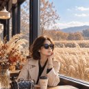 억새의 노래 / 송미옥 이미지