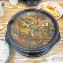 우동앤쫄면 | 7월 3~4주 일상이야기(점메추,찰스앤키스,헬린이,비비큐,초복,고영주택)