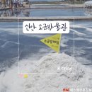 신안 아이와함께 가볼만한곳 소금박물관 입장료 체험 후기