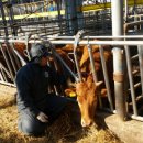 자동축산 이미지