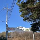 용호리 | 양양 범바우막국수🍜 방문 후기