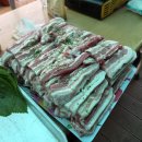 스쿠바캠프 이미지