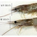 대하반점 이미지