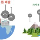 착한나무 네이버블로그