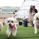 판 유치원 이미지