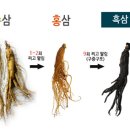 흑삼이란, 흑삼의 정의와 흑삼의 효능 이미지