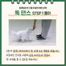 털로덮인친구들 용인죽전점 이미지