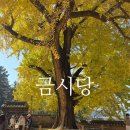 소로3-81 | 경남 가을 단풍 여행 코스 추천| 금시당,위양못,밀양카페추천,밀양맛집추천