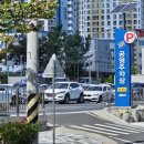 우로지 자연숲 황토길 이미지