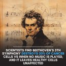 암세포 파괴효과_Beethoven’s Symphony No. 5 이미지