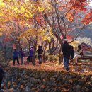 단양-단양-02 이미지