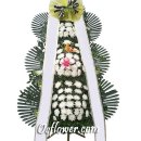 선진안길 이미지