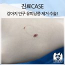 동물병원 유피 이미지