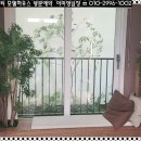 금왕초 이미지
