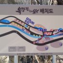 옥당걸숲속관광농원 이미지