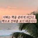 해밀염색#
