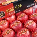 거성농원 이미지
