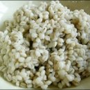 꽁보리밥 이미지