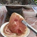 금남멧돼지 이미지