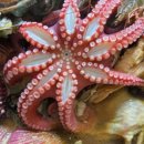 마당넓은집 이미지