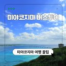 바로이렌트카㈜ | 미야코지마 여행 렌트카 대신 선택한 일일 버스투어 내돈내산 후기