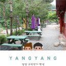 강원도 계곡 펜션 추천, 맑은 물과 힐링 가득한 양양 오색연가 재방문 후기