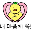 솔라멘 이미지