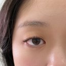삼송 속눈썹펌 추천! 아침 화장 10분 줄여준 곳 어나더뷰티 솔직후기