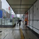 강남젠틀치과의원 이미지