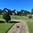 멍멍플레이스펜션 이미지