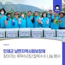 남면옥수수 이미지