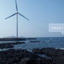 제주자연 태양광발전소 이미지