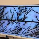 우성메디칼 | 두피관리샵 고덕 H.리셀 가격 탈모 근본 변화