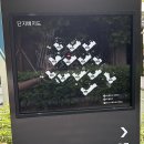 뉴서울2차아파트 인근 횡단보도(남동쪽) | 상도역롯데캐슬파크엘 임장 (밤골마을 지주택)