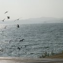 종현어촌체험마을 이미지