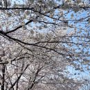 세종해수사우나 이미지