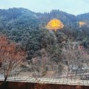 신시요 료칸” 재패니즈룸 숙박후기(주변관광지|송영서비스|가이세키(조/석식)|노천탕(가족탕)예약방법)