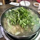 [세종] 세종복칼국수 세종 칼국수 맛집