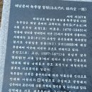진도 해미랑 이미지