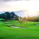 Team S 골프아카데미 이미지