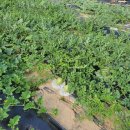 이천역세권공인중개사사무소 이미지