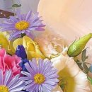 켈리플레르