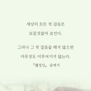 수갤러리 이미지