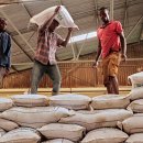 '매우 얇은 예산': 외환 부족으로 말라위의 생활비 위기 발생 이미지
