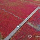 남장농원