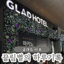 샤크 효성점 | 서울 공덕역 “글래드 마포_글래드 하우스 스위트룸” 후기