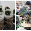 한방약선차 이미지