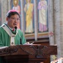 정순택 대주교, 무안국제공항 제주항공 여객기 사고 희생자 애도 이미지